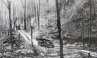 Jalan Truong Son Sebelah Barat – Jalan Legendaris dari Aliansi Pertempuran  Vietnam-Laos