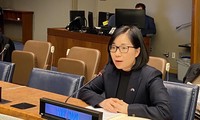Vietnam Tegaskan Kembali Kebijakan yang Konsekuen tentang Perlucutan Senjata dan Nonproliferasi Senjata Nuklir