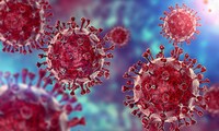 WHO Tekankan Virus Penyebab Covid-19 Sedang Menular Cepat