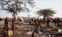 FAO: Lebih dari 282 Juta Orang Alami Kelaparan Mengerikan di Sub-Sahara Afrika