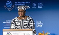 Direktur Jenderal WTO: Ekonomi Dunia Sedang Alami Resesi 