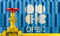 OPEC+ Pelajari Pemangkasan Kuat Hasil Produksi Minyak 