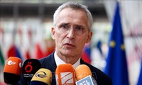 NATO Dorong Proses Promosi Swedia