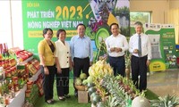 Forum “Pengembangan Pertanian Vietnam 2023 – Menyerap Badan Usaha Berinvestasi pada Pertanian yang Berkelanjutan”