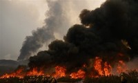 Kebakaran Hutan di Hawaii (AS): Sedikitnya 89 Orang Tewas. Kerugian Materiil Diprakirakan Capai 6 Miliar USD
