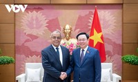 Ketua MN Vietnam, Vuong Dinh Hue Menerima Ketua Komite Antarpemerintah Aljazair-Vietnam