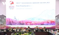 ASEAN Mendorong Perdamaian, Kemakmuran, dan Keamanan di Kawasan-Vietnam Berkontribusi Secara Proaktif dan Aktif
