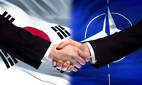 Republik Korea untuk Pertama Kalinya Lakukan Latihan Keamanan Siber dengan NATO