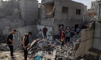 Mesir dan Banyak Negara Lain Memprotes Keras Niat Tentara Israel untuk Menyerang Kota Rafah