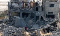 Konflik Hamas-Israel: WHO Imbau Gencaran Senjata dan Penjaminan Keselamatan bagi Kegiatan Bantuan
