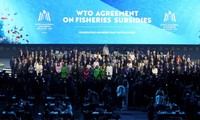 Konferensi Menteri WTO Ditutup Tanpa Ada Terobosan yang Penting