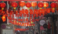Tet decorations spring up on streets across HCM City
