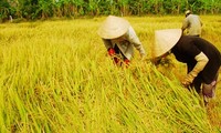 Vietnam pone en alto renovación del aparato estatal