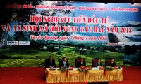Vietnam dedica asistencia especial al desarrollo de la región noroeste