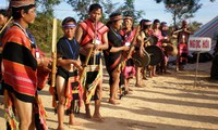 Los étnicos Brau en Tay Nguyen