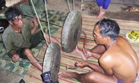 Los instrumentos musicales tradicionales de los Brau