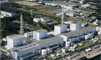 Empresas niponas solicitan la reactivación de reactores nucleares