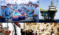 Gobierno vietnamita trata temas críticos de la economía nacional