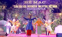 Semana cultural Malasia-Indonesia-Vietnam enaltece valores tradicionales