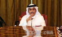 Francia urge a los países árabes a levantar sanciones contra Qatar