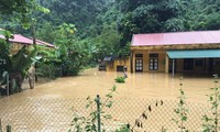 Oficina del Presidente de Vietnam apoya a compatriotas afectados por inundaciones en la zona norteña