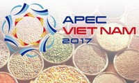 Vietnam sigue con sus prioridades de desarrollo  en el Año APEC 2017    