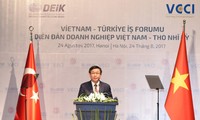 Vietnam y Turquía promueven la cooperación empresarial