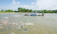 Vietnam traza la meta de lograr 9 millones de dólares el valor de exportación acuífera