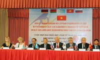 Unión Económica Euroasiática aprecia la eficiencia de la cooperación con Vietnam
