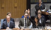 Reacción internacional al veto de Estados Unidos al proyecto de ley de la ONU sobre Jerusalén