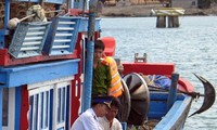 Global Policy Journal aprecia los esfuerzos de Vietnam en la lucha contra la pesca ilegal