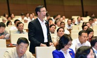Electores vietnamitas satisfechos con las renovadas interpelaciones parlamentarias