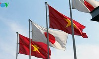 Vietnam y Japón afianzan la asociación estratégica