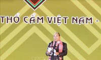 Vietnam organiza su primer Festival Nacional de Brocados