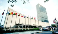 La Organización de Naciones Unidas llama a cumplir el acuerdo de paz en República Centroafricana 