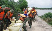 Vietnam celebrará anualmente la Semana nacional frente a los desastres naturales