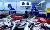 Vietnam busca exportar 10 mil millones de dólares de productos pesqueros en 2019