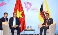 Vietnam y Brunei refuerzan la cooperación multisectorial