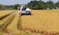 Vietnam impulsa la formación vocacional de la mano de obra agrícola