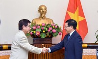 Canciller vietnamita recibe al vicejefe de la Oficina del Gabinete nipón