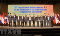 Comienza Conferencia de Altos Funcionarios de Agricultura y Silvicultura de la Asean en Vietnam