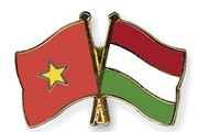 Vietnam y Hungría consolidan lazos de amistad y cooperación