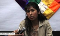 Asamblea Nacional de Bolivia aprueba ley para convocar nuevas elecciones generales