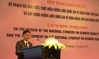 Vietnam analiza 10 años de Estrategia Nacional para la igualdad de género