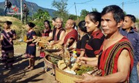 Festival Aza Koonh, Patrimonio Cultural Inmaterial Nacional de Vietnam