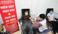 Vietnam supera metas de donación de sangre en Festival Primavera Roja 2020