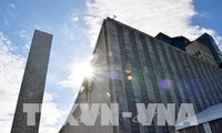 Oficina central de la ONU registra primer caso positivo de coronavirus