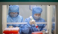 Vietnam registran 60 casos negativos de Covid-19 en primera prueba