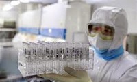 Japón impulsa la creación de vacuna contra nuevo coronavirus