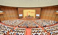 Electores de Vietnam apoyan la ratificación del acuerdo de libre comercio con la Unión Europea